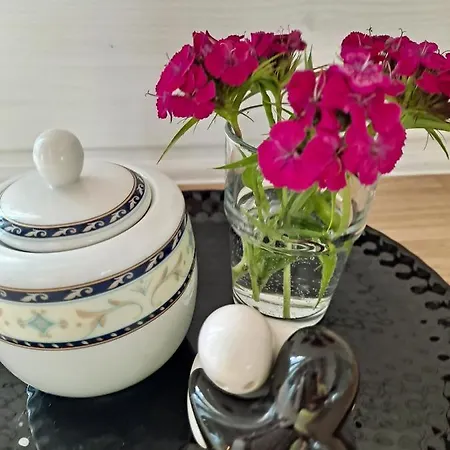 Osada Kleszczewo9 펜션